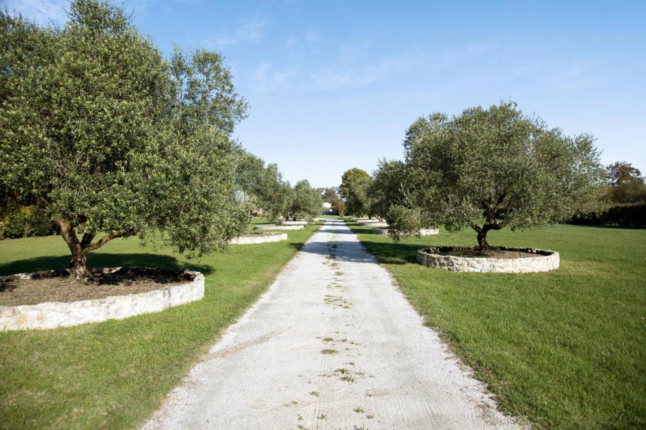 Villa Charmante A Saint-Germain-D'Esteuil Avec Piscine Privee Luaran gambar